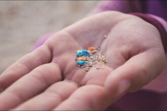 microplastic pollution