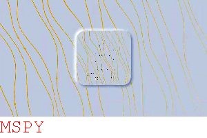 What Information Do You Need for Mspy