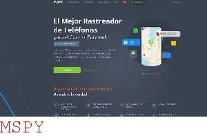 can.i Use Imei to Mspy