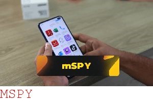 How Much Is Mspy for a Year