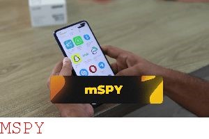 Who Makes Mspy