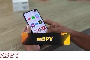 What Is the Price for Mspy