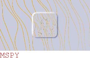 What Are Premium Mspy Features?