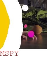 What to Do if Mspy Quits Reporting Fromt He Phone