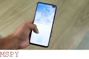 How Do You Plant Mspy