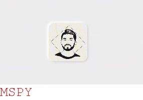 How Can You Install Mspy