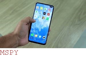 Does Mspy Work on Whatsapp