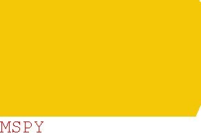 How to Use Mspy Control Panel