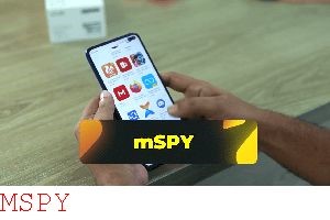 Can Retailers Detect Mspy