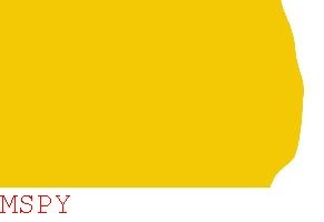 How Do You Download Mspy