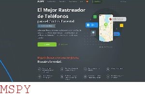 Can Parents Delete Mspy