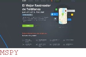 Can Your Kid Delete Mspy