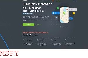 How Much Dies Mspy Cost