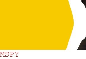 How to Block Mspy on Skype Business