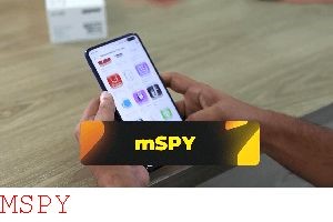 Valor Do App Mspy