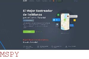 Does Mspy Notify Target Phone