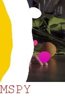 How Long Do I Have to Wait for Mspy Confirmation Email