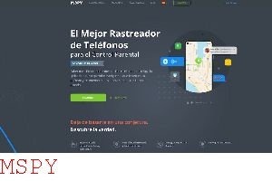 Why Is Mspy Easier to Install Than Flexispy