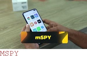 What Do You Use the Private Key for in Mspy