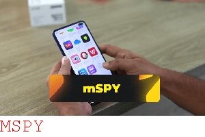 How Is Mspy Legal