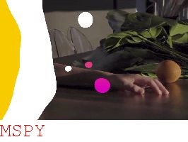 What Files or Binarys Does Mspy Use