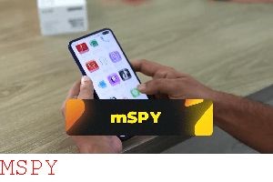 How Do You Set Up Mspy
