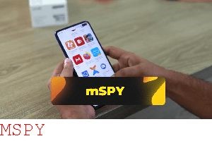 How Are Mspy or Flexispy Installed?