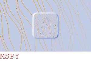 Is Mspy Worth the Price