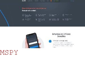 How to Use Mspy Without Target Device
