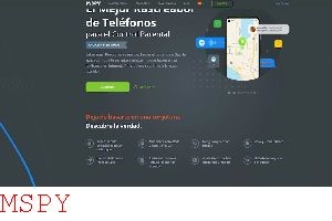 Why Is My Mspy Not Working