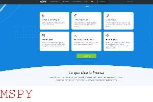 Does Mspy Work on Ipad