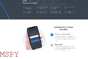 Is Mspy Good