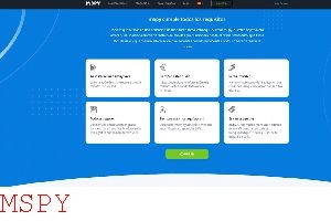 Can Retailers Detect Mspy