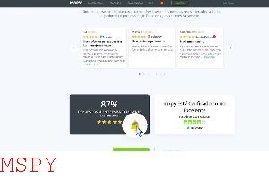 What Is Mspy