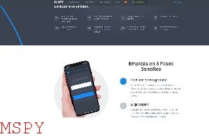 How Much Mspy Cost
