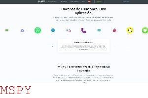 Does Mspy Require Access to Target Phone
