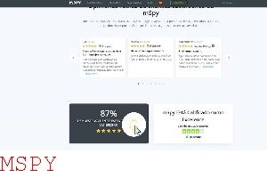 How to Use Mspy Lite