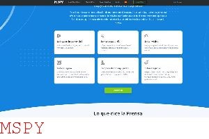 How Long Take for Mspy