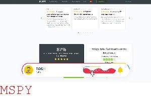 Is Mspy Customer Reviews