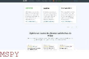 Why Is My Key Logging Not Working on Mspy