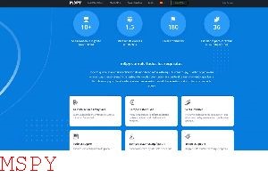 What Is the Mspy Link