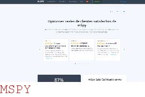 What Do I Need for Mspy