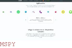 How Can I See Data of Target Device in Mspy Account