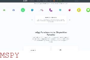 Why Can I See Sent Text Messages on Mspy?