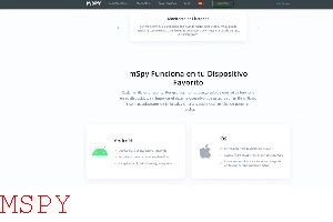 Can You View Someones Pics With Mspy
