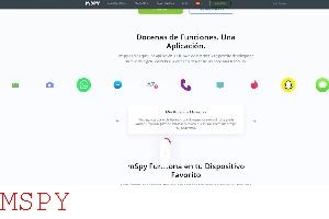 Do You Have to Have Target Phone for Mspy