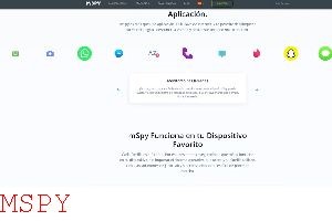 Is Mspy a Hoax