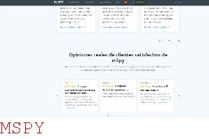 How Much Does Mspy Cost Per Month