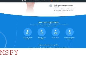 What Do You Need to Install Mspy