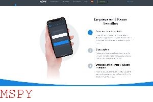 How to Remove Mspy From Computer